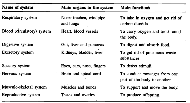 1257_Systems of Human Body.png